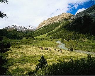 D3P新作《SAMURAI MAIDEN -武士少女-》今年冬季发售